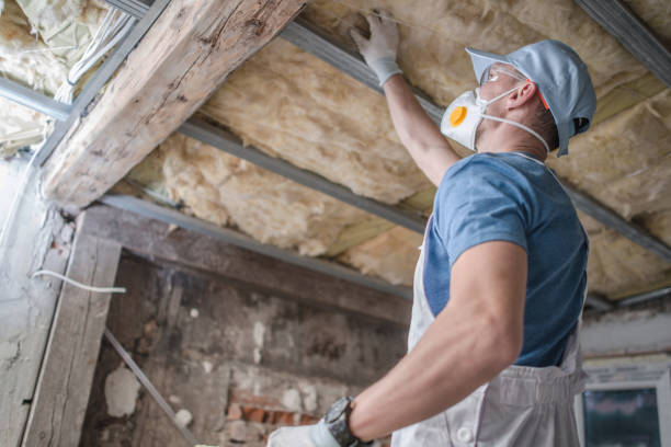 Best Insulation Installation Services in Bear Creek Ranch, TX